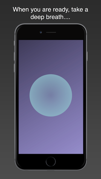 Screenshot of Meditation Screen in Simply Zen